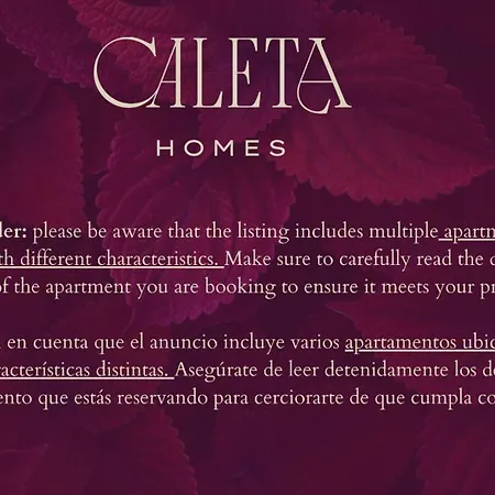 Apartment Plaza Del Siglo & Boutique By Caleta Homes *
